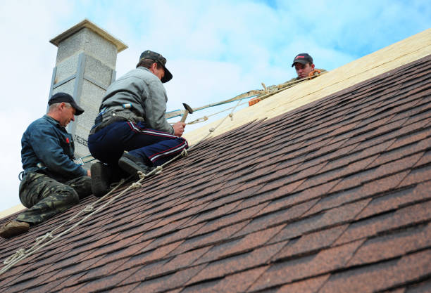 Best Shingle Roofing Installation  in Davenport, IA